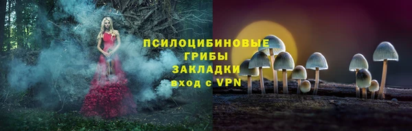 марки nbome Алзамай