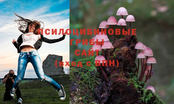 2c-b Алексин