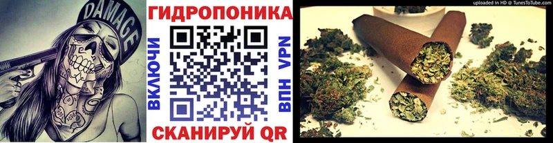 как найти наркотики  Арск  мориарти клад  Бошки Шишки Ganja 